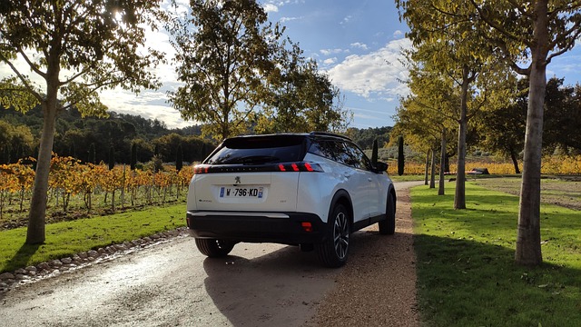 Sådan finder du den bedste brugte tesla model 3 – eksperternes råd